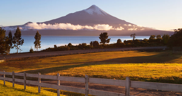 Descubre lo Esencial para tu Viaje al Sur de Chile este Verano