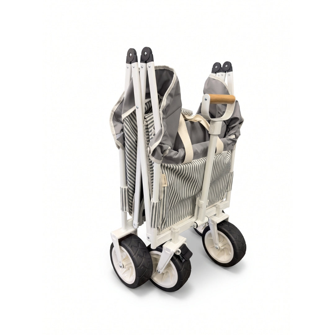 Carrito de Playa Discovery Gris