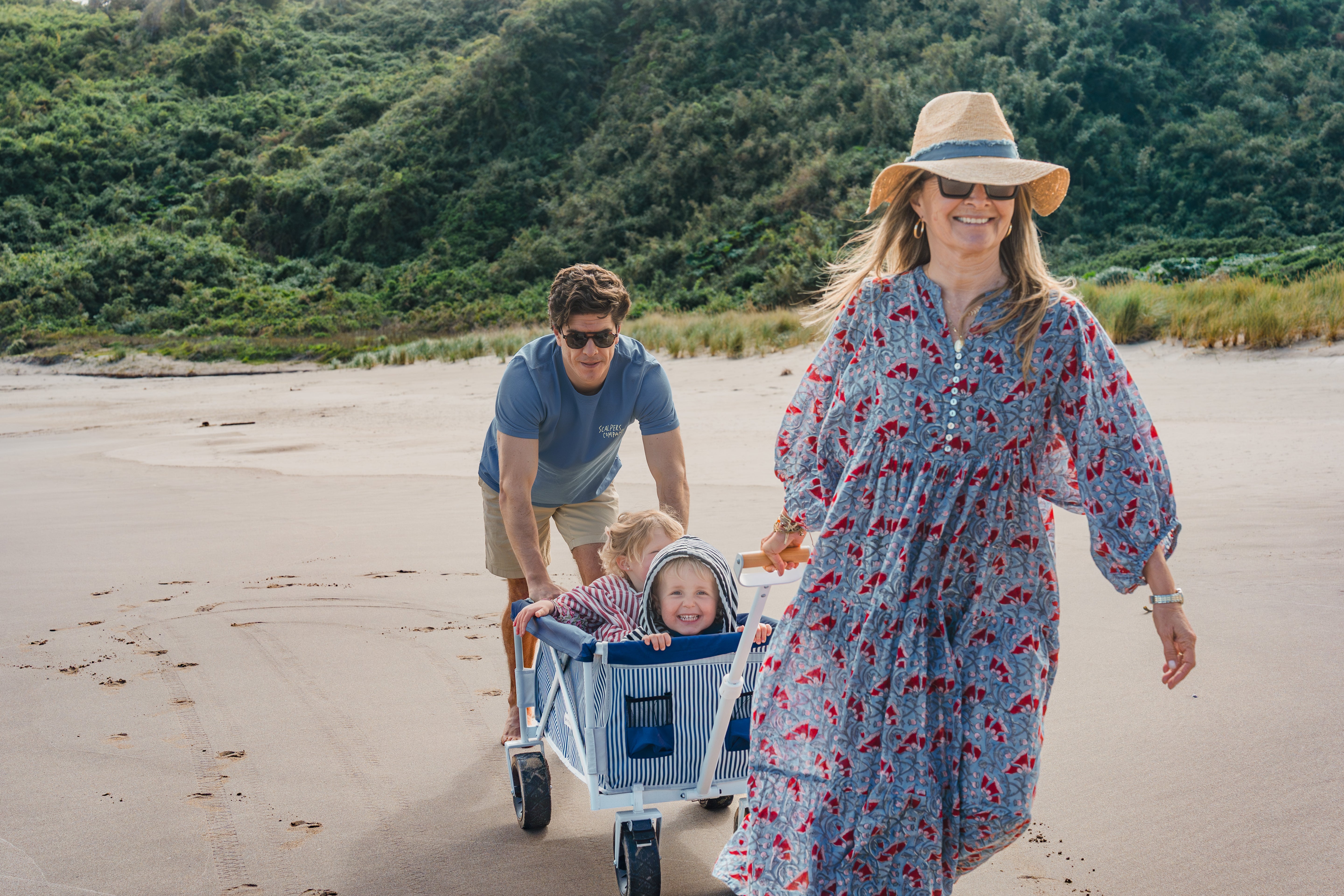 carrito de playa plegable