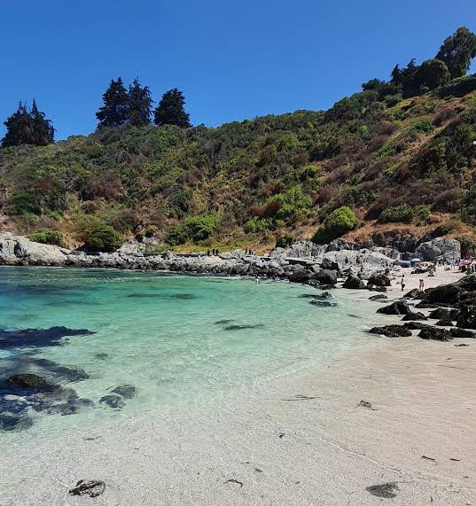 Playa Cachagua