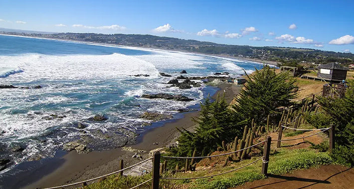 Playa Pichilemu, Punta de Lobos