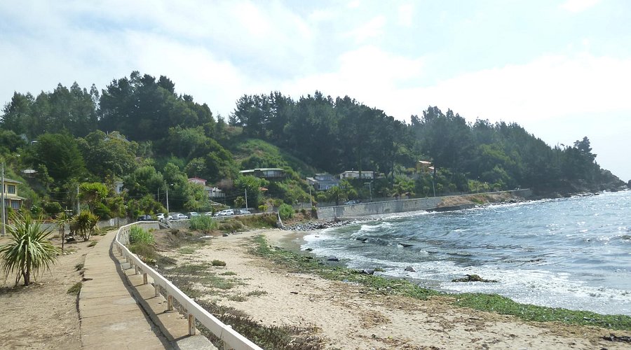 Playa Coliumo