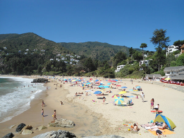 Imagen 1