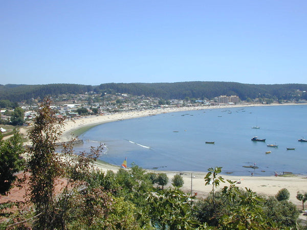 Imagen 1