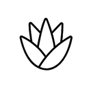 Con aloe y vitamnina E