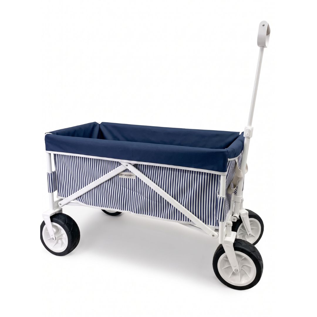 Carrito de Playa Discovery Azul Líneas